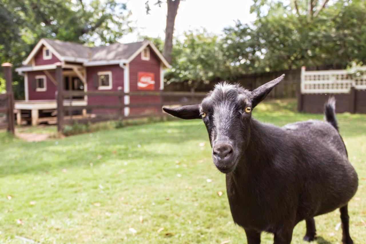 The Social Goat 3* Atlanta